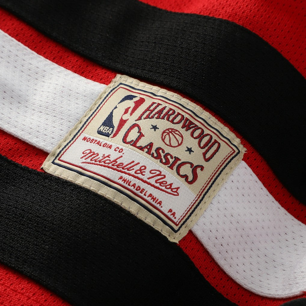 NBA Dennis Rodman Chicago Bulls Big & Tall NBA Hockey Jersey