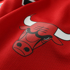 NBA Dennis Rodman Chicago Bulls Big & Tall NBA Hockey Jersey