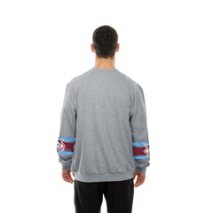 MLB Philadelphia Phillies New Era Sport Classics Sweatshirt