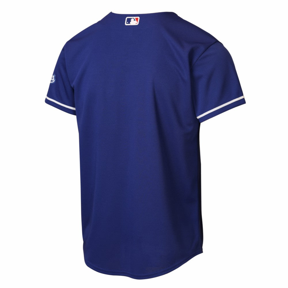 MLB Los Angeles Dodgers Nike Youth Alternate 2 Stadium Jersey