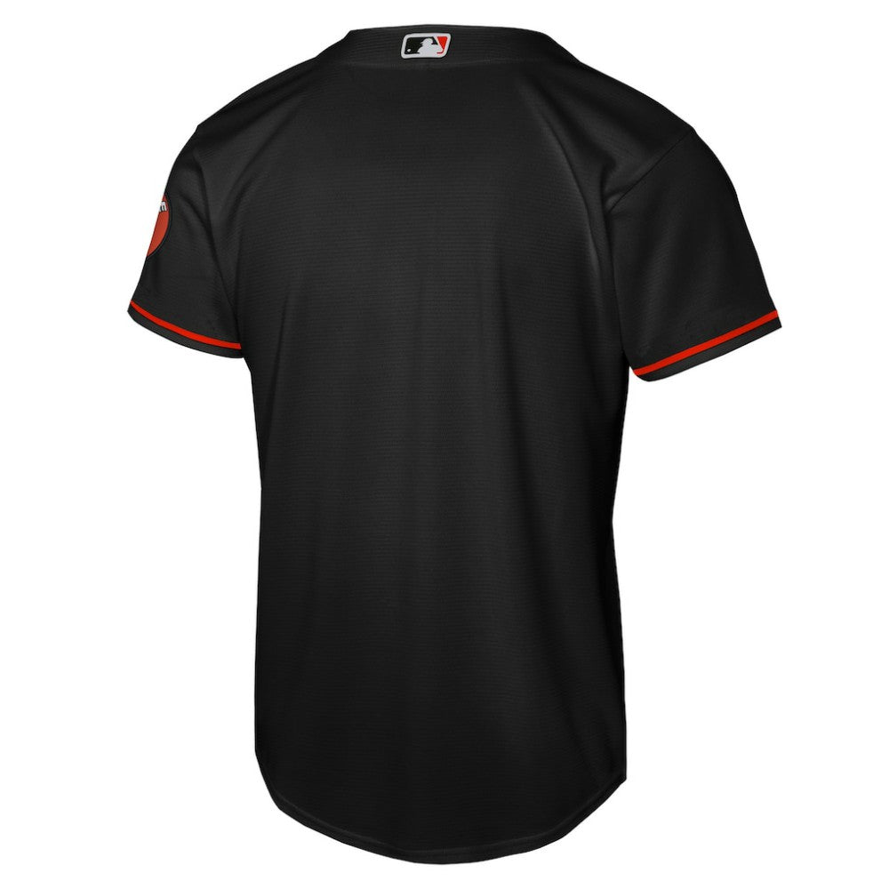 MLB Baltimore Orioles Nike Youth Alternate Stadium Jersey