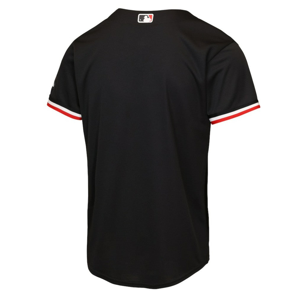 MLB Minnesota Twins Nike Youth Alternate 2 Stadium Jersey