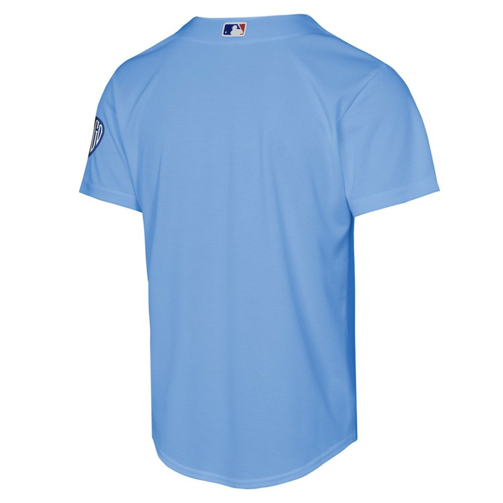 MLB Chicago Cubs Nike Youth Alternate 2 Stadium Jersey