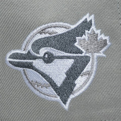 MLB Toronto Blue Jays Mitchell & Ness Cooperstown Thunderstorm Head Coach Pro-Crown Adjustable Hat
