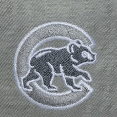 MLB Chicago Cubs Mitchell & Ness Thunderstorm Head Coach Pro-Crown Adjustable Hat