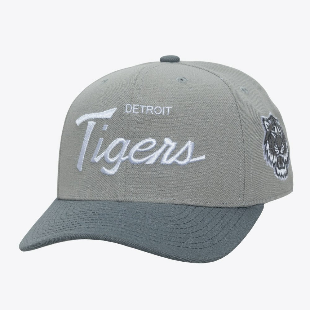 MLB Detroit Tigers Mitchell & Ness Thunderstorm Head Coach Pro-Crown Adjustable Hat