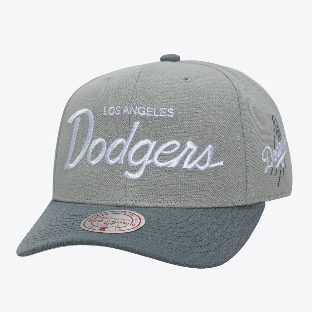 MLB Los Angeles Dodgers Mitchell & Ness Thunderstorm Head Coach Pro-Crown Adjustable Hat