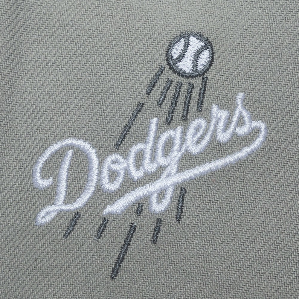 MLB Los Angeles Dodgers Mitchell & Ness Thunderstorm Head Coach Pro-Crown Adjustable Hat