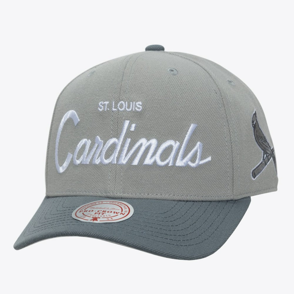 MLB St. Louis Cardinals Mitchell & Ness Thunderstorm Head Coach Pro-Crown Adjustable Hat