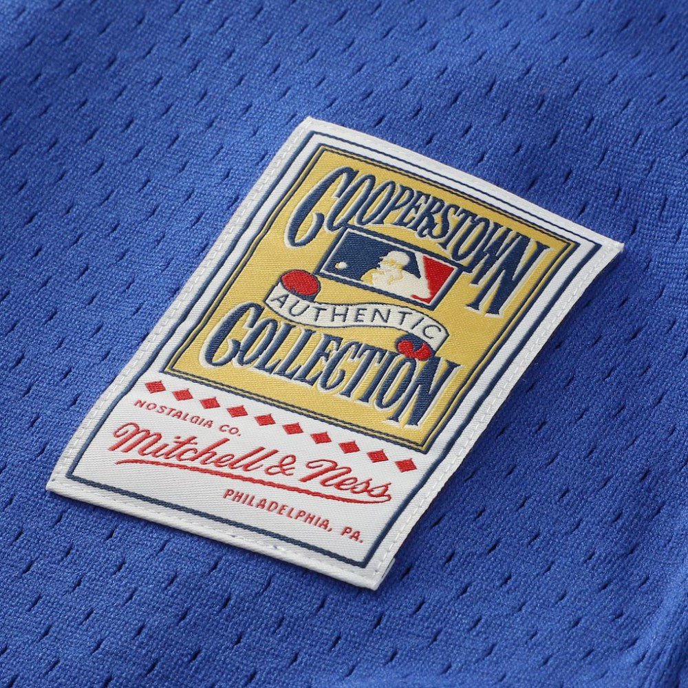 MLB Lenny Dykstra New York Mets Mitchell & Ness Authentic Batting Practice Jersey