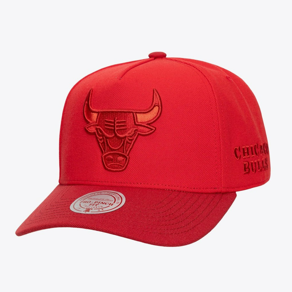 NBA Chicago Bulls Legendary Home Pro Pinch Snapback Hat