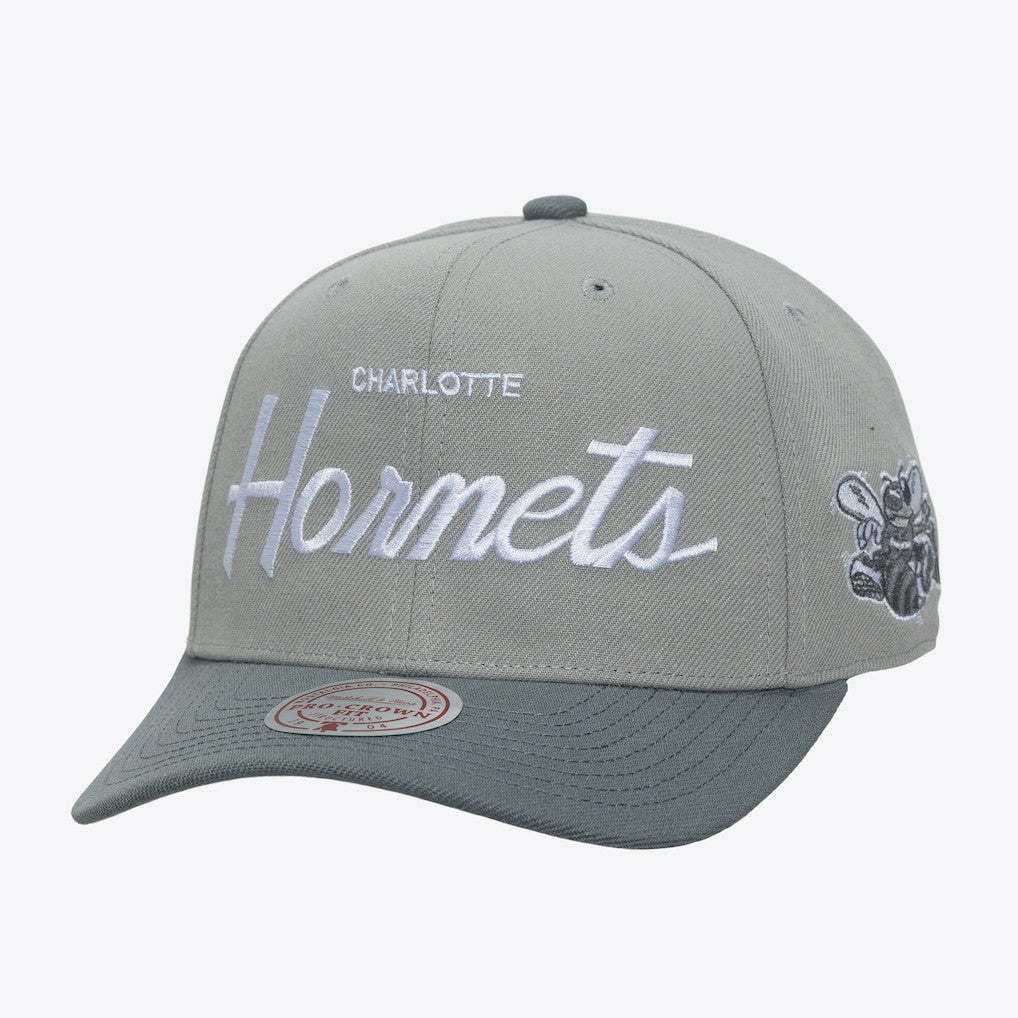 NBA Charlotte Hornets Thunderstorm Head Coach Pro Crown Snapback Hat