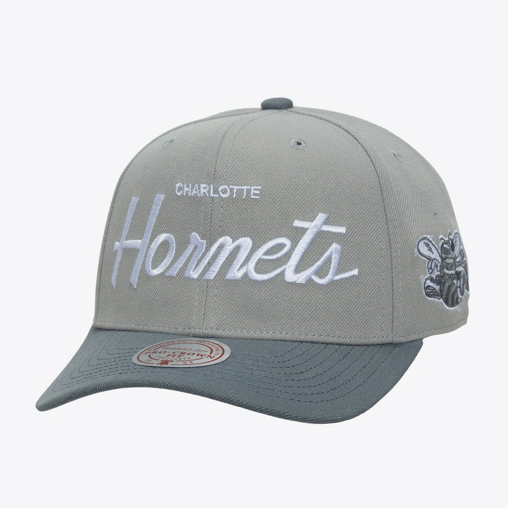 NBA Charlotte Hornets Thunderstorm Head Coach Pro Crown Snapback Hat