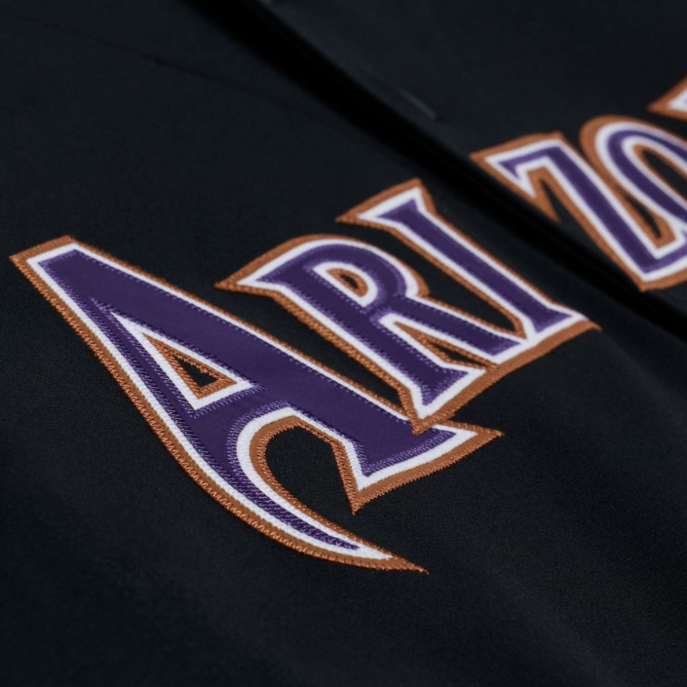 MLB Randy Johnson Arizona Diamondbacks Mitchell & Ness 2001 Authentic Jersey