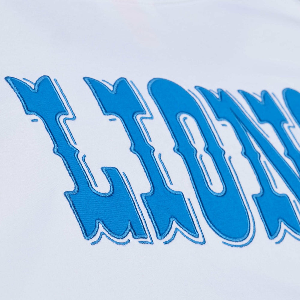 Arctic T-Shirt - Detroit Lions