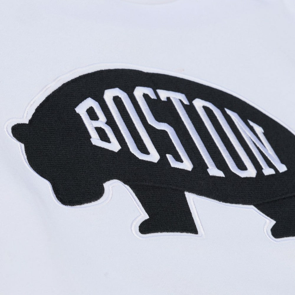 NHL White Boston Bruins Mitchell & Ness Arctic Fleece Hoodie