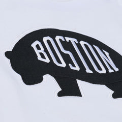NHL White Boston Bruins Mitchell & Ness Arctic Fleece Hoodie