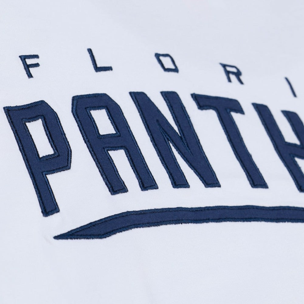 NHL White Florida Panthers Mitchell & Ness Arctic T-Shirt- White