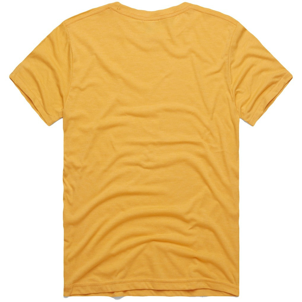 Homage NFL x Grateful Dead Tri-Blend T-Shirt - Pittsburgh Steelers