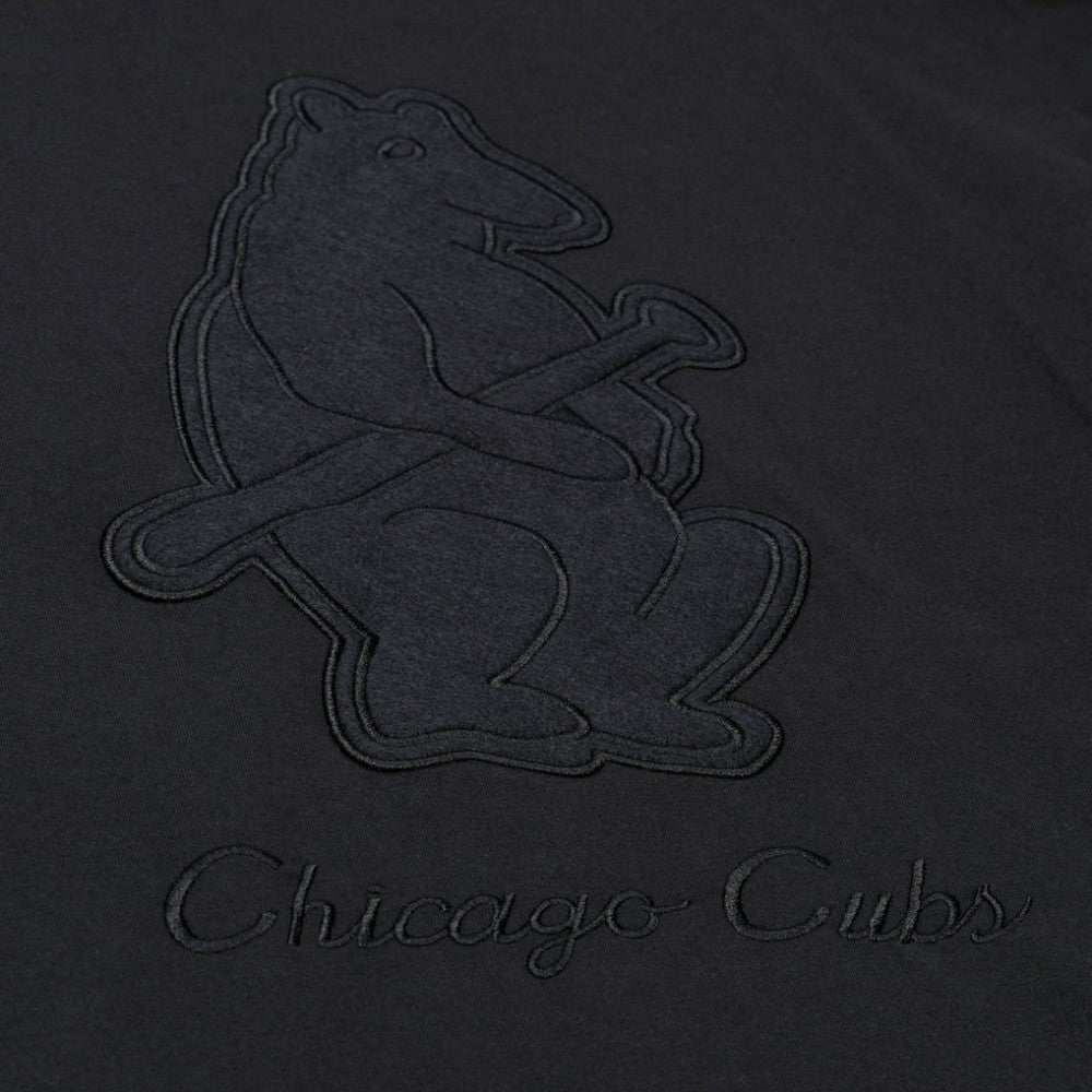 MLB Chicago Cubs Mitchell & Ness Cooperstown Collection Phantom T-Shirt