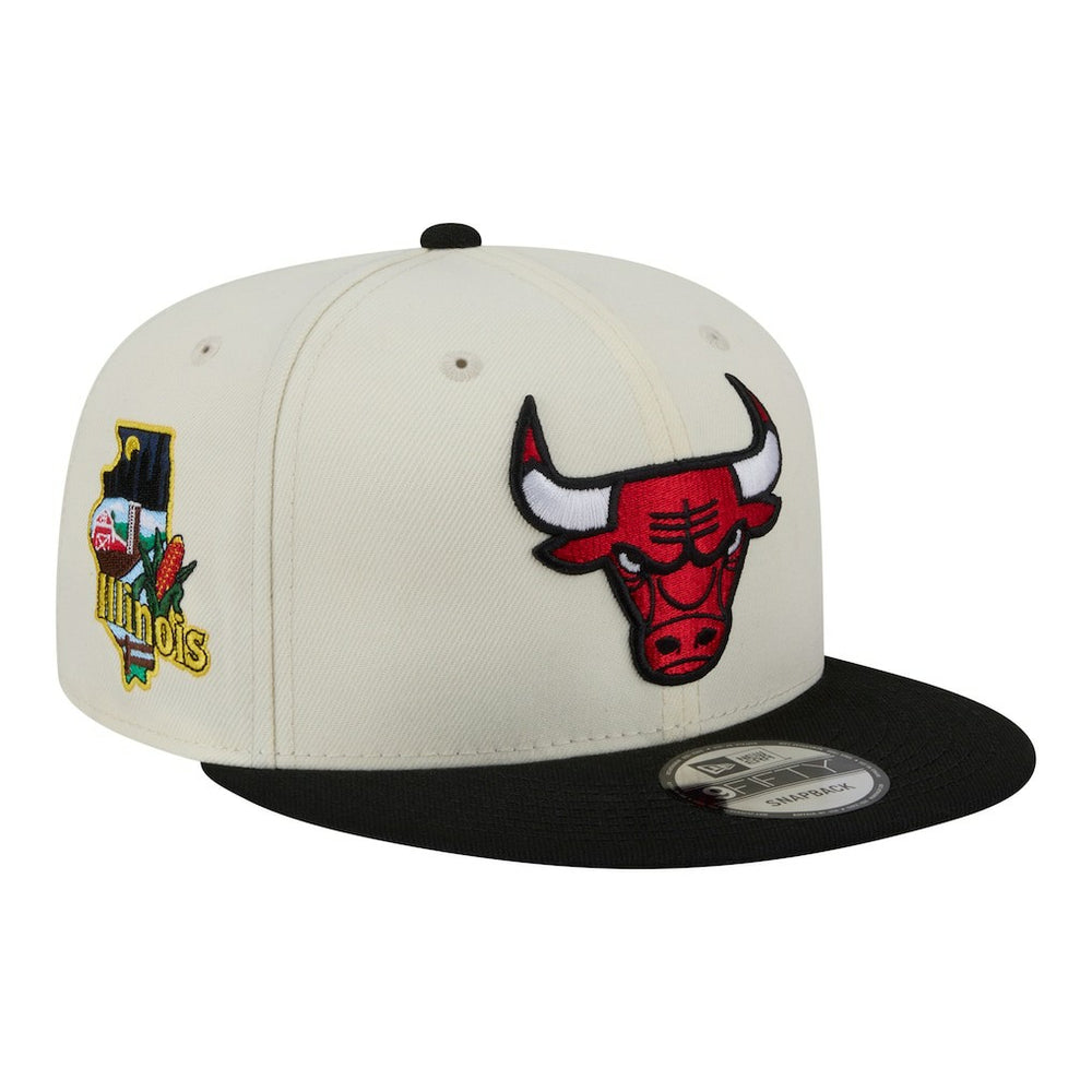 NBA Chicago Bulls Injection Localized 9FIFTY Snapback Hat