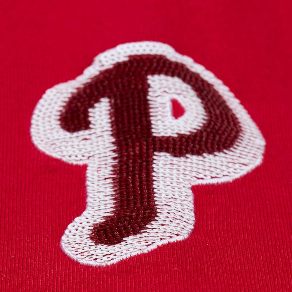 MLB Philadelphia Phillies Mitchell & Ness Women's Cropped Raglan Boxy T-Shirt