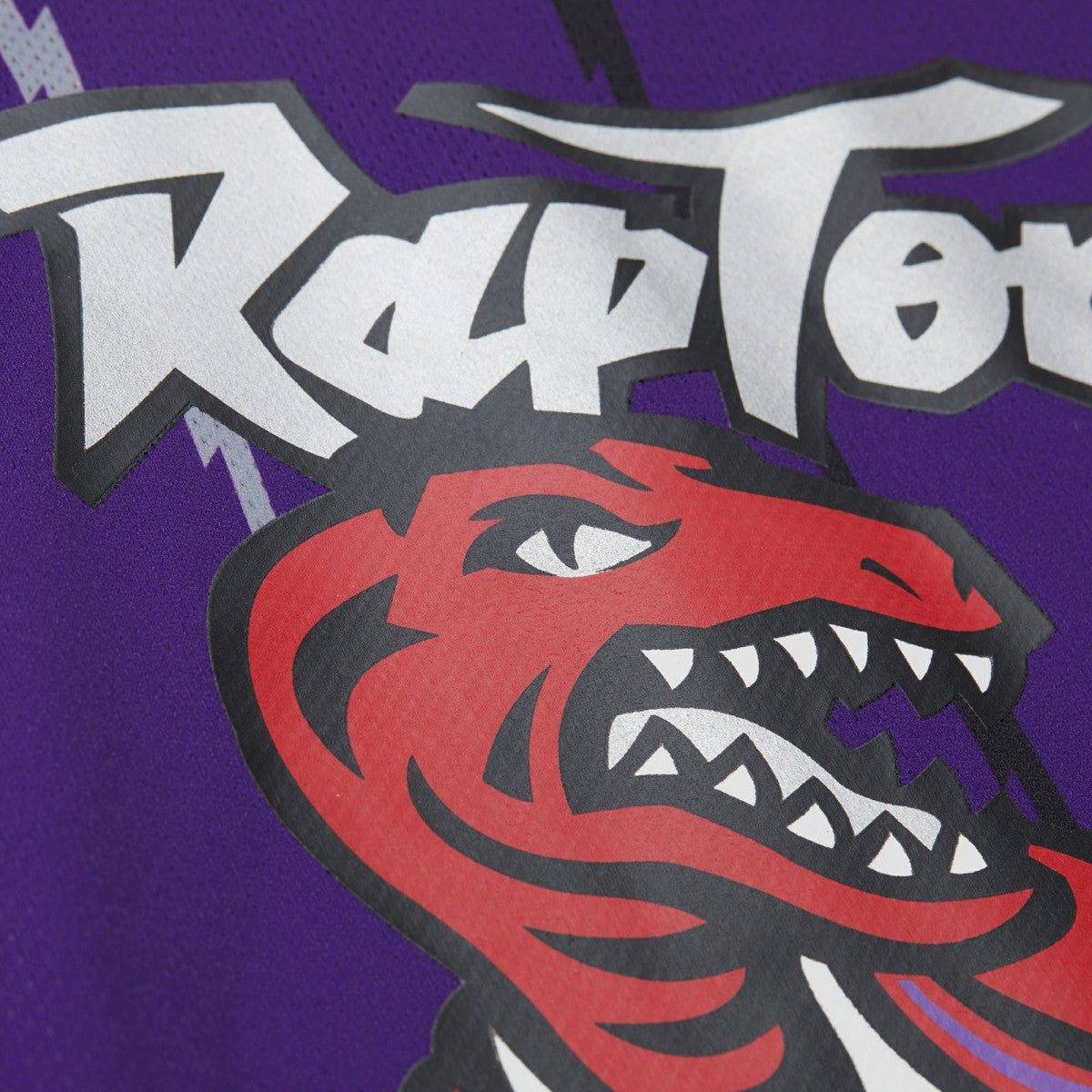 NBA Vince Carter Toronto Raptors Unisex Maxxed Out Fashion Hockey Jersey