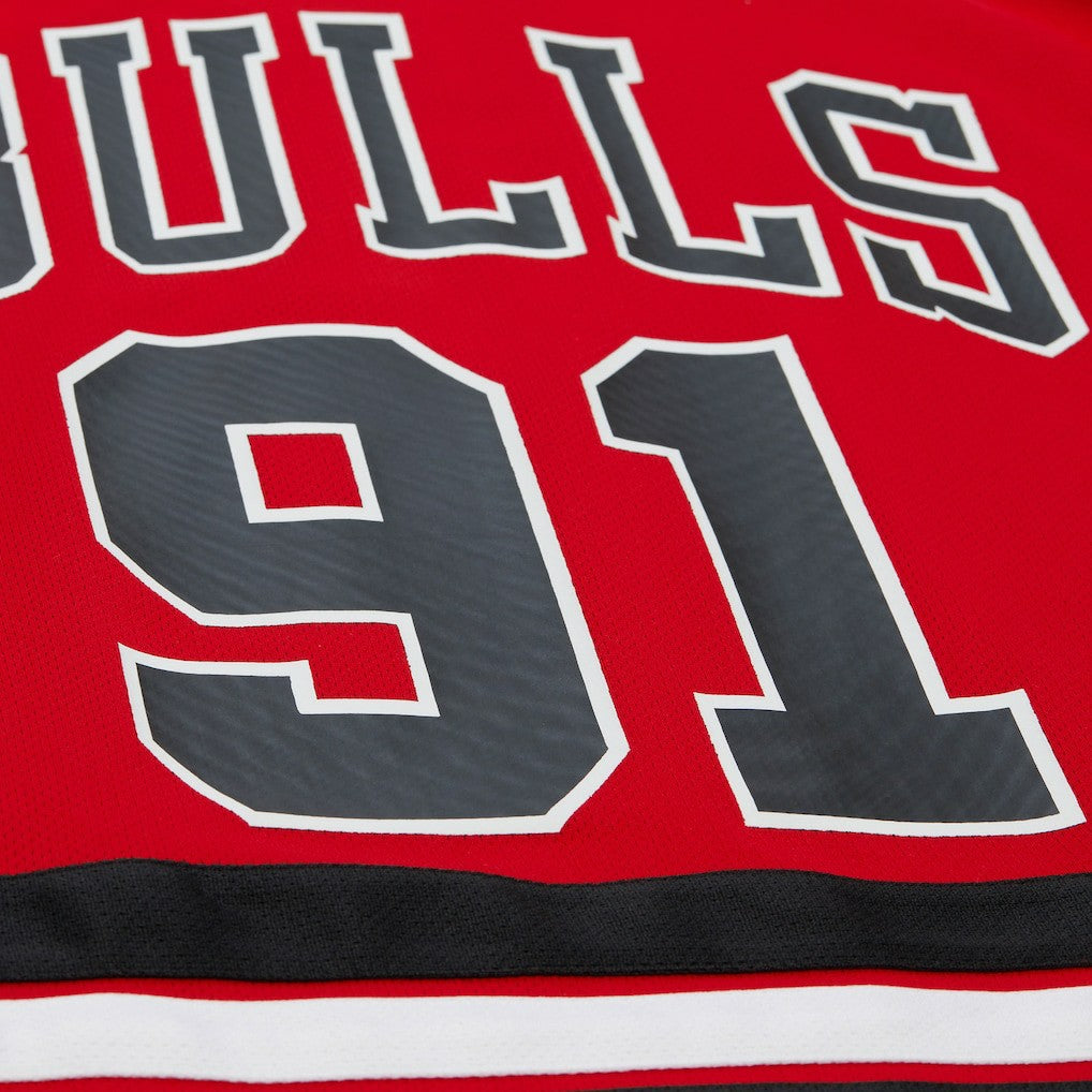 NBA Dennis Rodman Chicago Bulls Unisex Maxxed Out Fashion Hockey Jersey sale