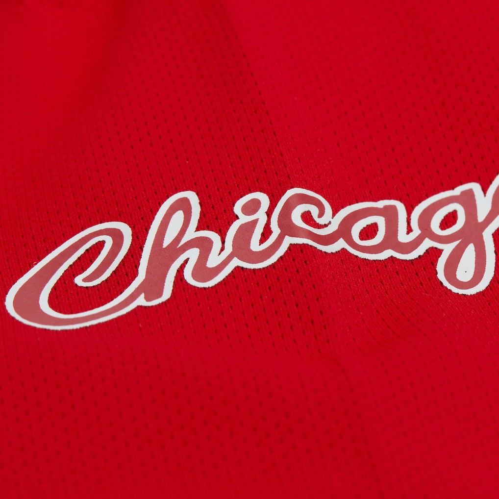 NBA Dennis Rodman Chicago Bulls Unisex Maxxed Out Fashion Hockey Jersey sale