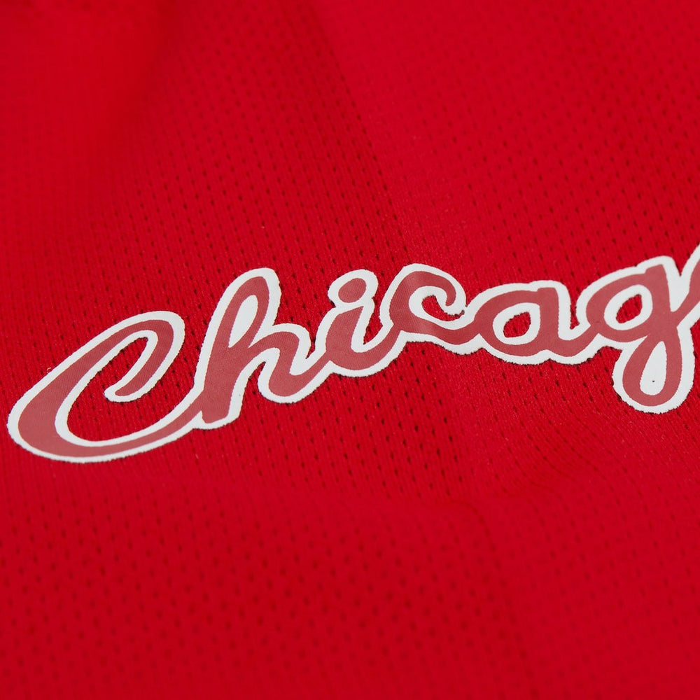 NBA Dennis Rodman Chicago Bulls Unisex Maxxed Out Fashion Hockey Jersey sale