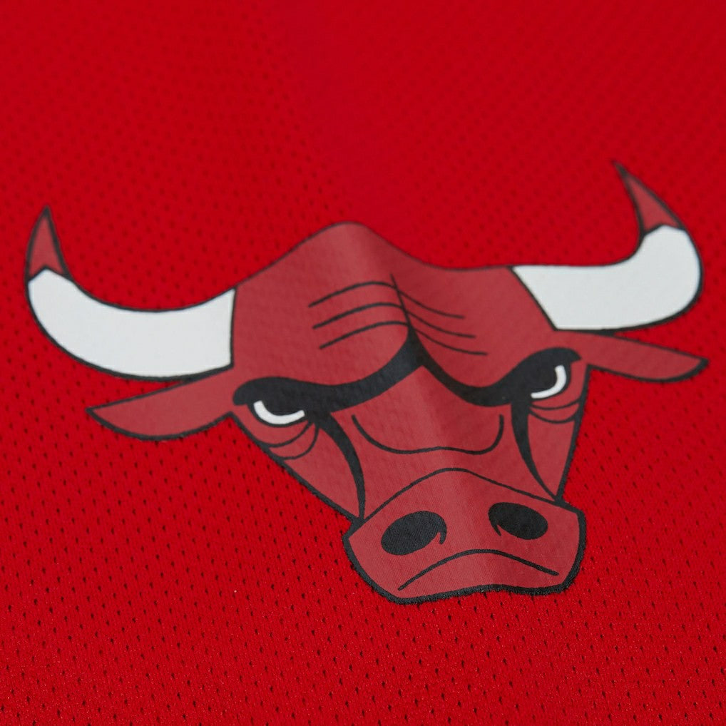 NBA Dennis Rodman Chicago Bulls Unisex Maxxed Out Fashion Hockey Jersey sale