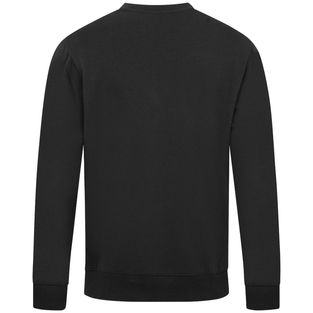 MLB Baltimore Orioles Levelwear Zane Banner Arch Sweatshirt