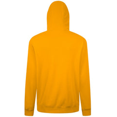 MLB Pittsburgh Pirates Levelwear Podium Journey Hoodie