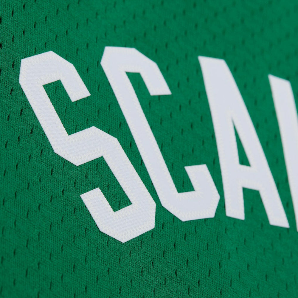 NBA Brian Scalabrine Boston Celtics 2007/08 Hardwood Classics Swingman Jersey
