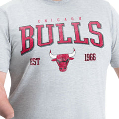 NBA Chicago Bulls G-III Sports by Carl Banks Adaptive Classic Team Spirit Short Sleeve T-Shirt sale