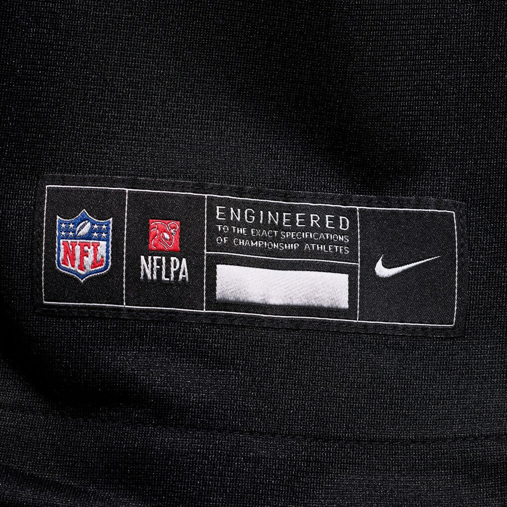 Demani Richardson  Team Game Jersey - Carolina Panthers