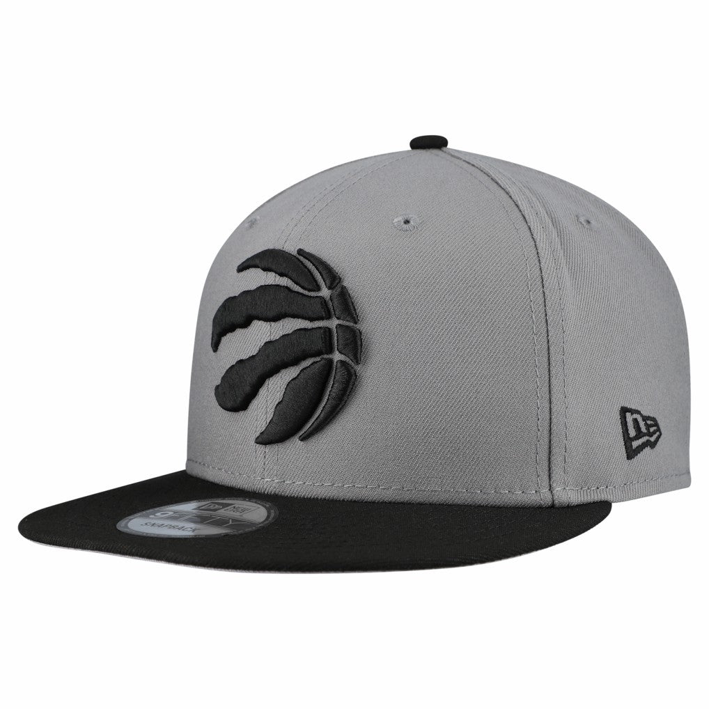 NBA Toronto Raptors Core Logo Storm Gray Two-Tone 9FIFTY Snapback Hat