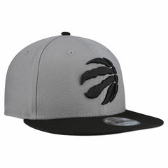 NBA Toronto Raptors Core Logo Storm Gray Two-Tone 9FIFTY Snapback Hat