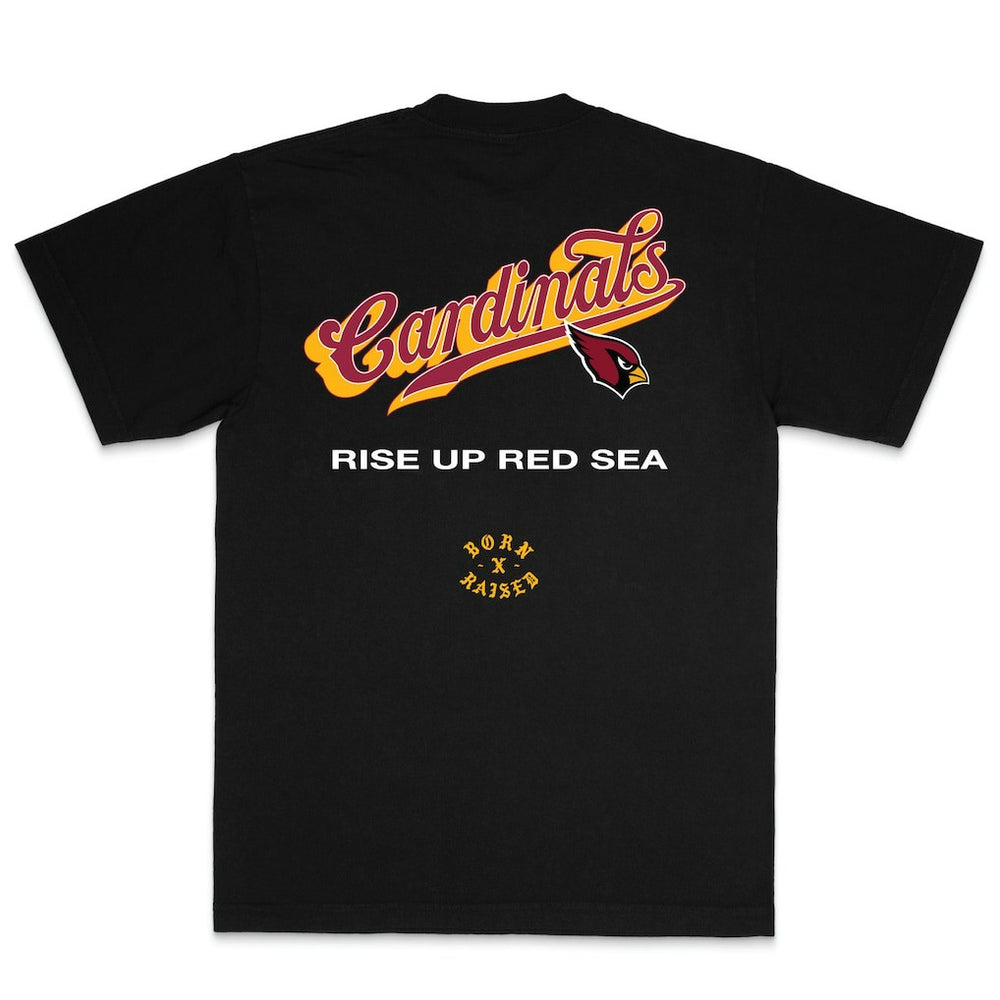 Born x Raised Unisex Pro Script T-Shirt - Arizona Cardinals