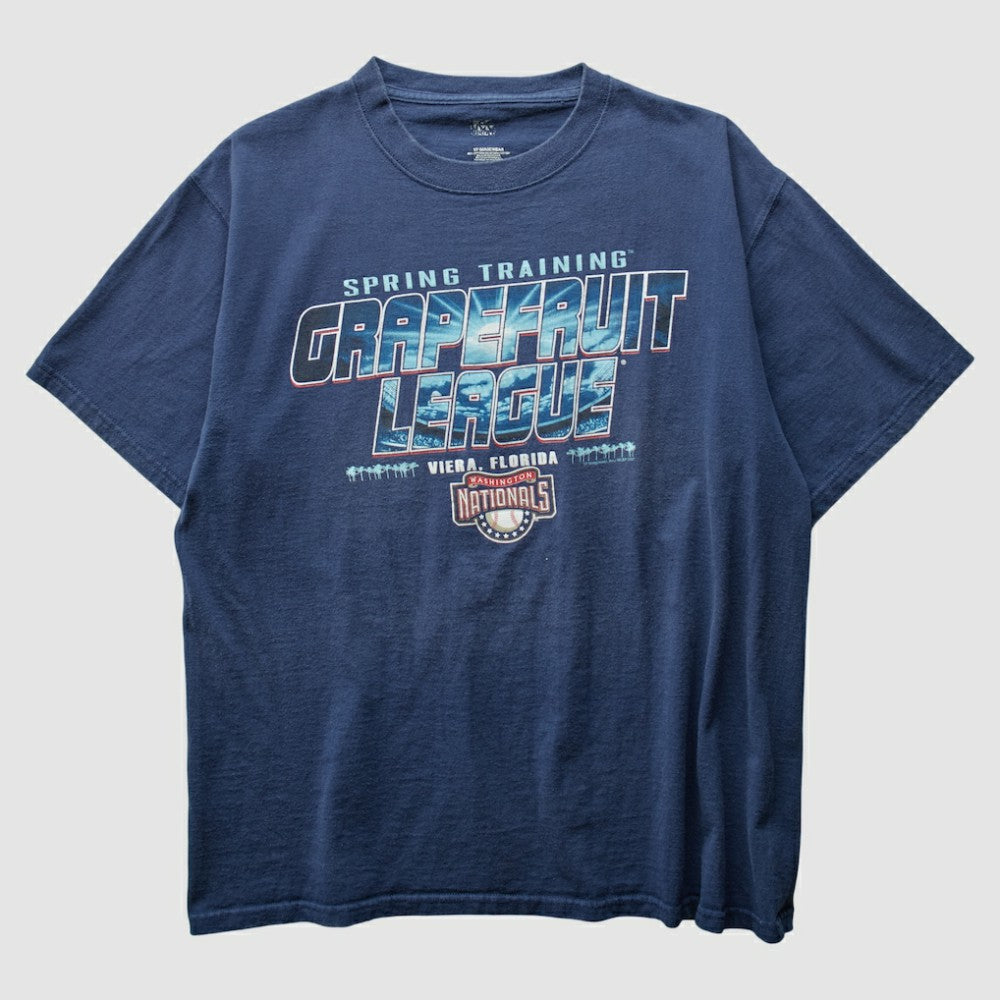 MLB Washington Nationals 2000s T-Shirt