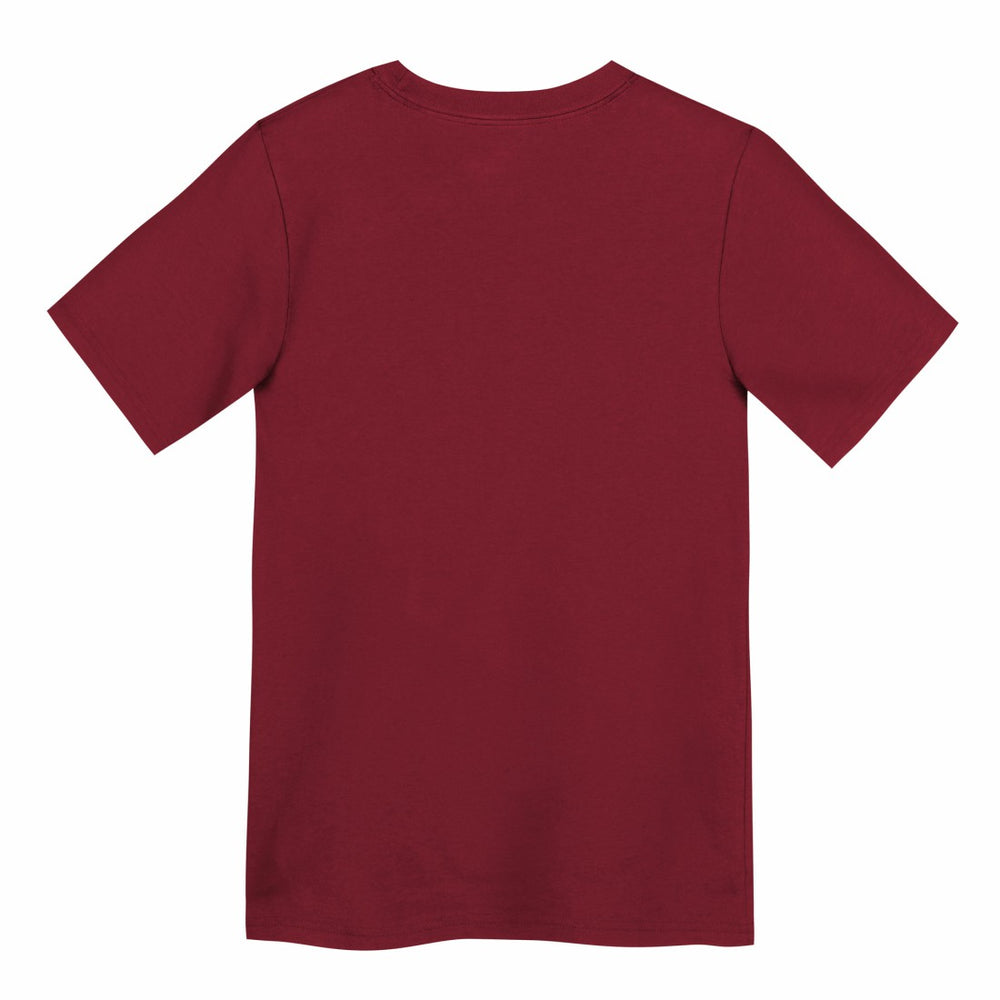 Preschool Icon Legend Dri-FIT T-Shirt - Tampa Bay Buccaneers