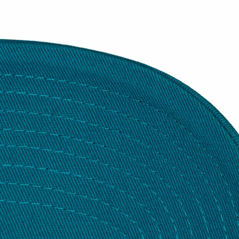 NBA Charlotte Hornets Hardwood Classics 1904 Adjustable Hat