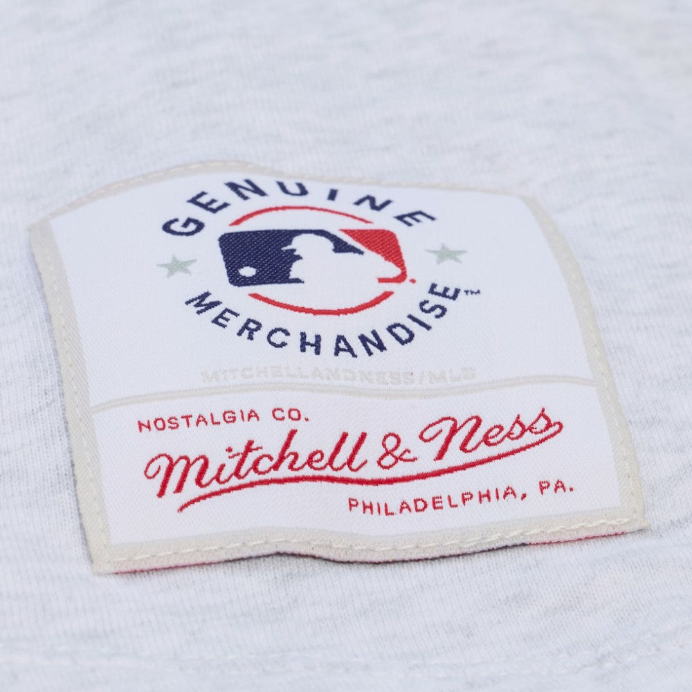 MLB Los Angeles Dodgers Mitchell & Ness Women's Script Cropped Boxy T-Shirt