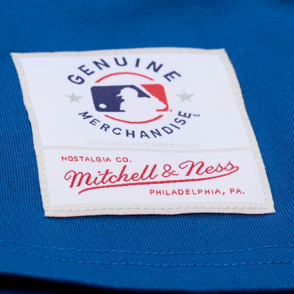 MLB Los Angeles Dodgers Mitchell & Ness Women's Pep Rally Cropped Boxy T-Shirt