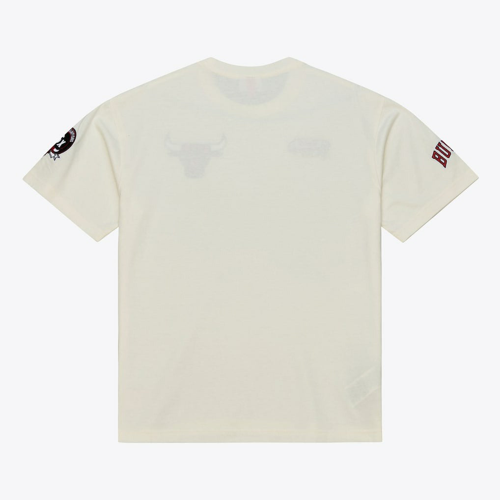 NBA Chicago Bulls Hardwood Classics Chainstitch Premium T-Shirt sale