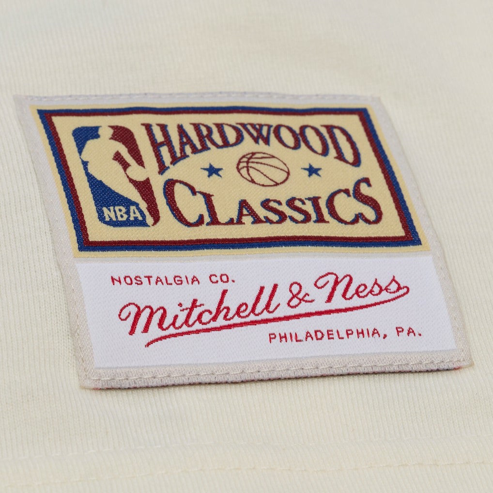 NBA Chicago Bulls Hardwood Classics Chainstitch Premium T-Shirt sale