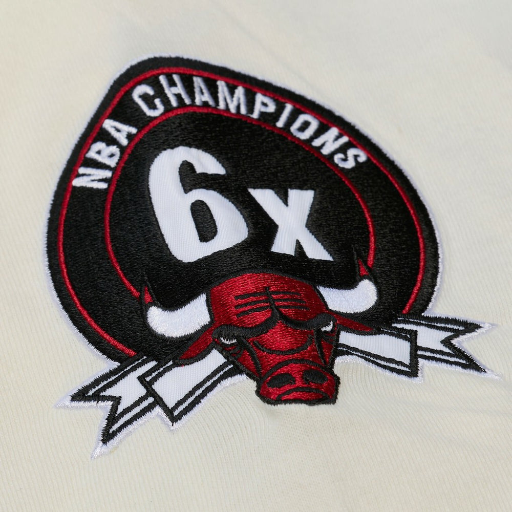 NBA Chicago Bulls Hardwood Classics Chainstitch Premium T-Shirt sale
