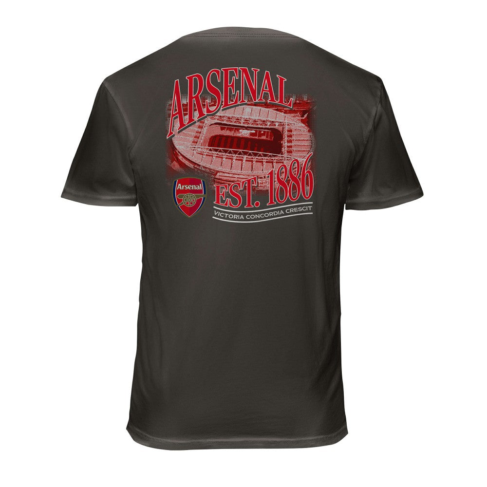 Arsenal 1863FC Wordmark Cotton T-Shirt -  Gray