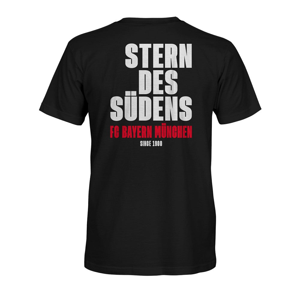Bayern Munich 1863FC True To Glory Heavyweight T-Shirt -  Black