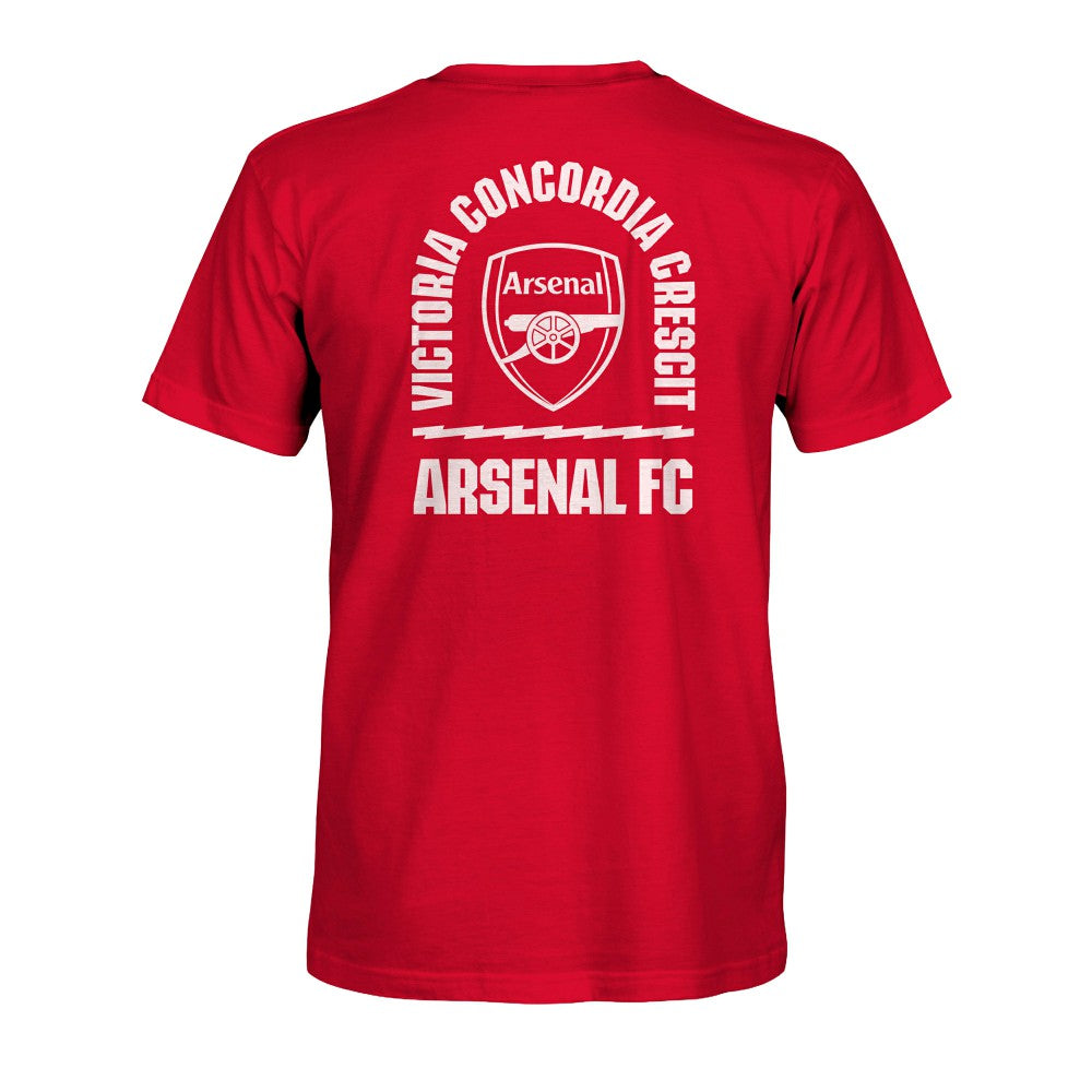 Arsenal 1863FC True To Glory Heavyweight T-Shirt -  Red